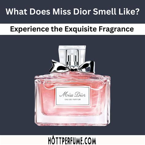 perfume dupe miss dior|what smells like miss dior.